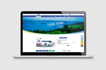 如康集團品牌形象全案策劃/設計