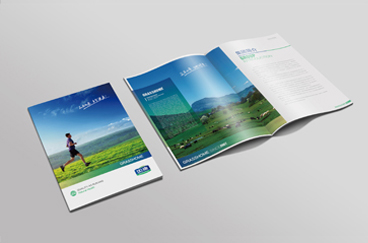 如康集團品牌形象全案策劃/設(shè)計