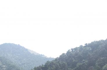 72小時，我們在一起